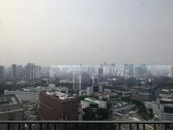 Spottiswoode Suites (D2), Apartment #502592961